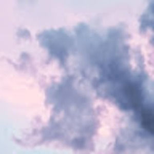 Meet your Posher, Camilo